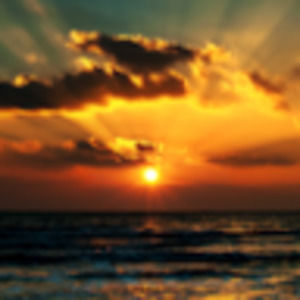 Meet your Posher, Jodi